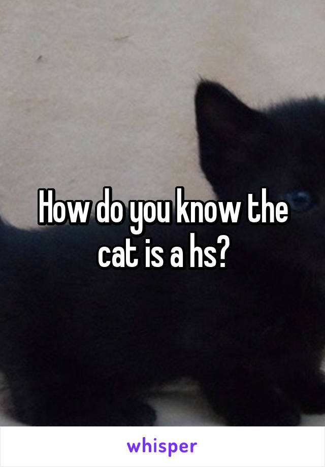 How do you know the cat is a hs?