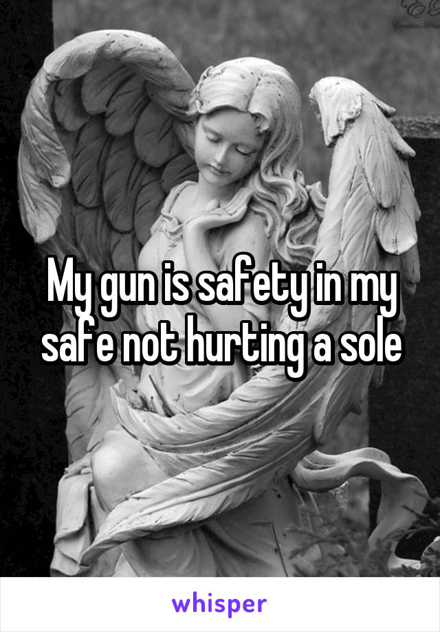 My gun is safety in my safe not hurting a sole