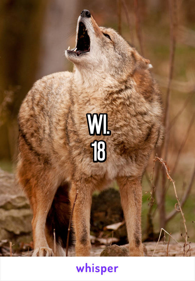 WI.
18