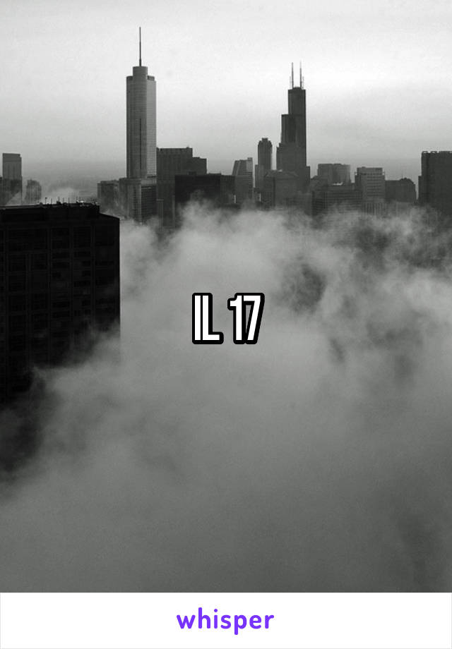 IL 17