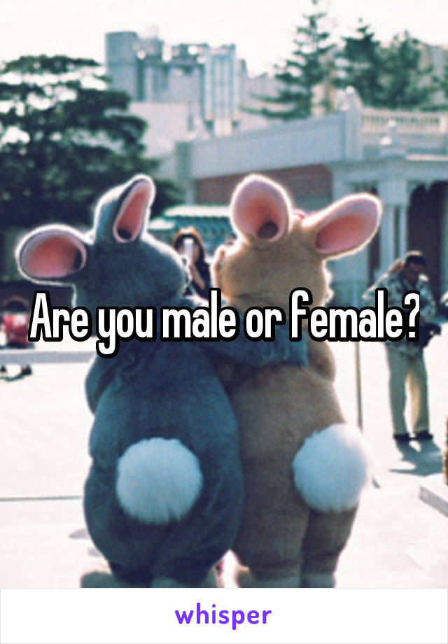 Are you male or female?