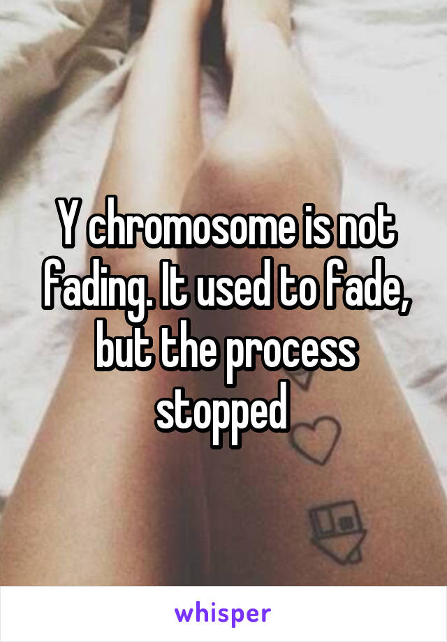 Y chromosome is not fading. It used to fade, but the process stopped 