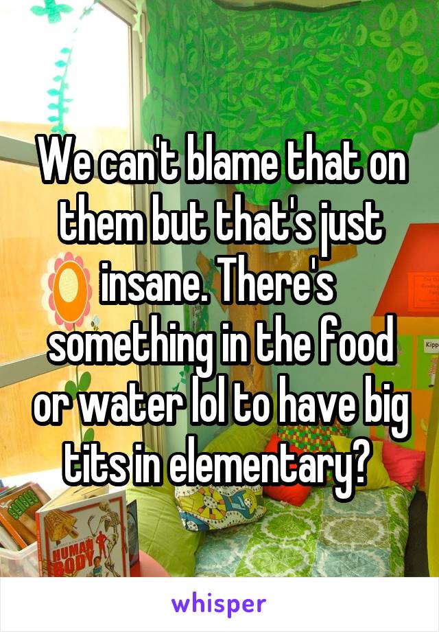 We can't blame that on them but that's just insane. There's  something in the food or water lol to have big tits in elementary? 