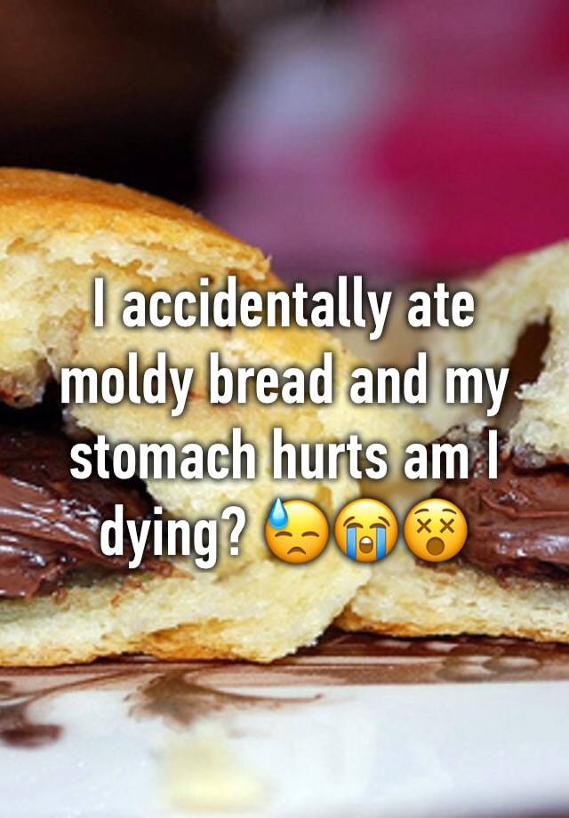 i-accidentally-ate-moldy-bread-and-my-stomach-hurts-am-i-dying