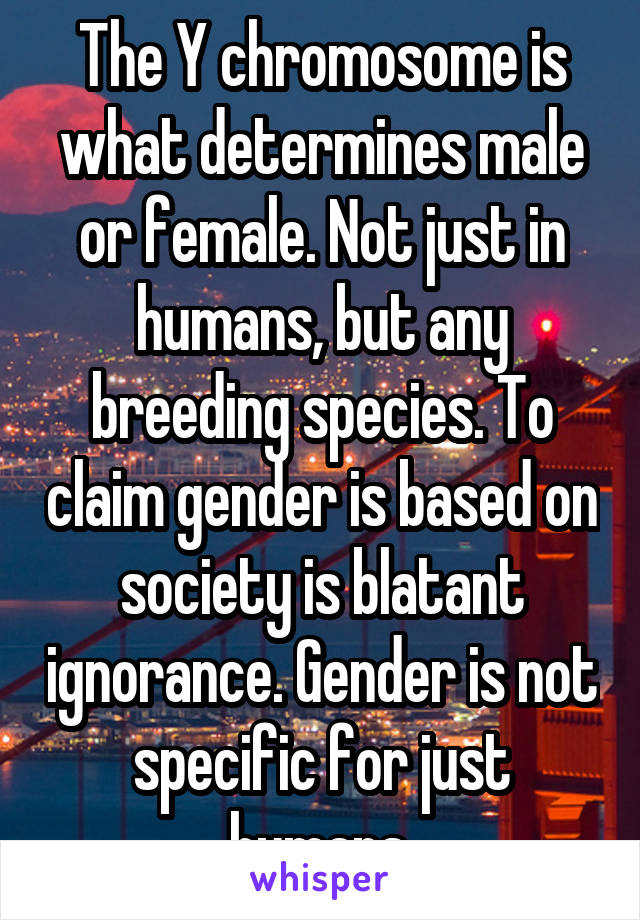 The Y chromosome is what determines male or female. Not just in humans, but any breeding species. To claim gender is based on society is blatant ignorance. Gender is not specific for just humans.
