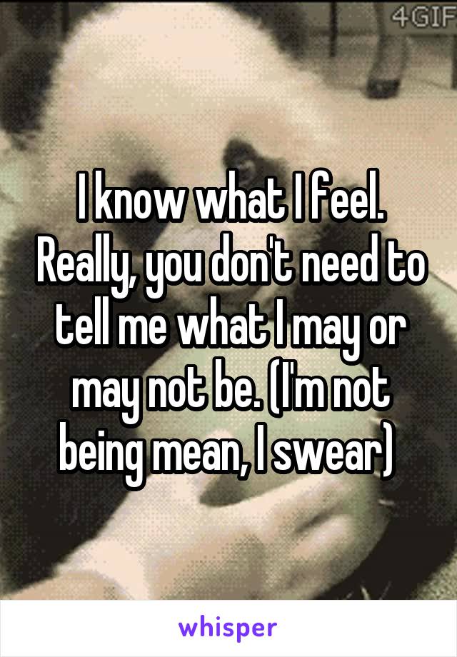 I know what I feel. Really, you don't need to tell me what I may or may not be. (I'm not being mean, I swear) 