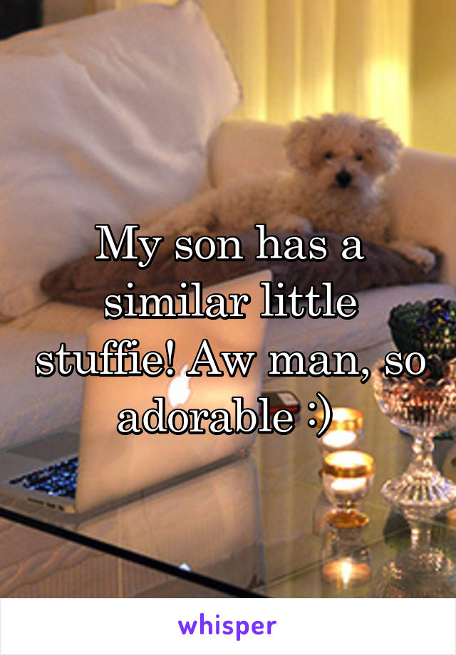 My son has a similar little stuffie! Aw man, so adorable :) 