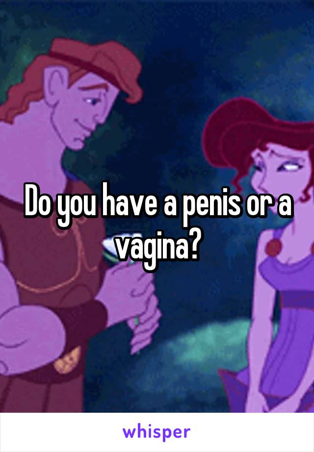 Do you have a penis or a vagina?