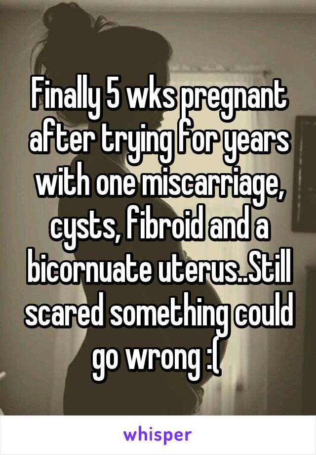 Finally 5 wks pregnant after trying for years with one miscarriage, cysts, fibroid and a bicornuate uterus..Still scared something could go wrong :( 