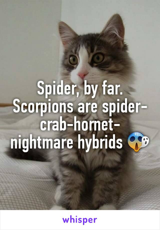 Spider, by far. Scorpions are spider-crab-hornet-nightmare hybrids 😱