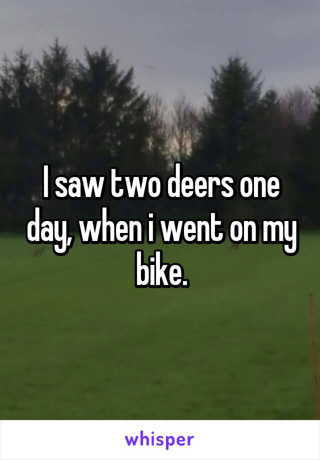 I saw two deers one day, when i went on my bike.