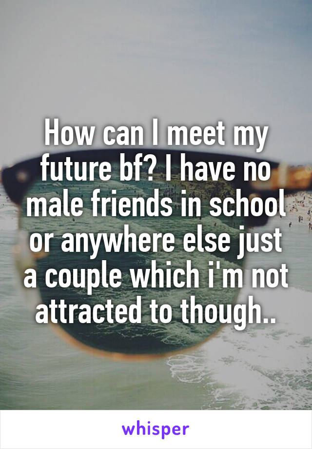How can I meet my future bf? I have no male friends in school or anywhere else just a couple which i'm not attracted to though..