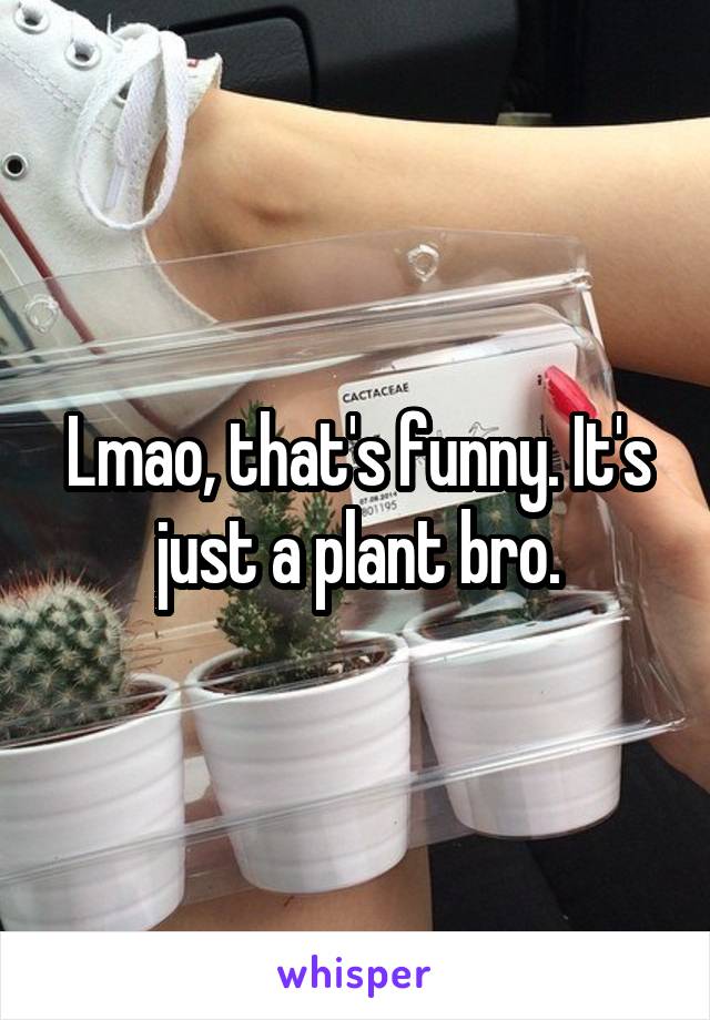 Lmao, that's funny. It's just a plant bro.