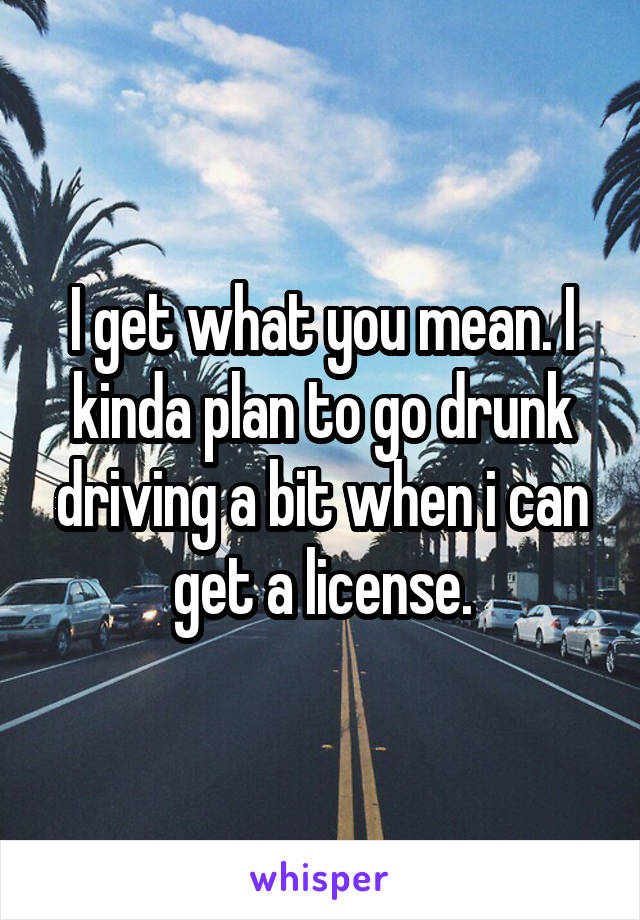 I get what you mean. I kinda plan to go drunk driving a bit when i can get a license.