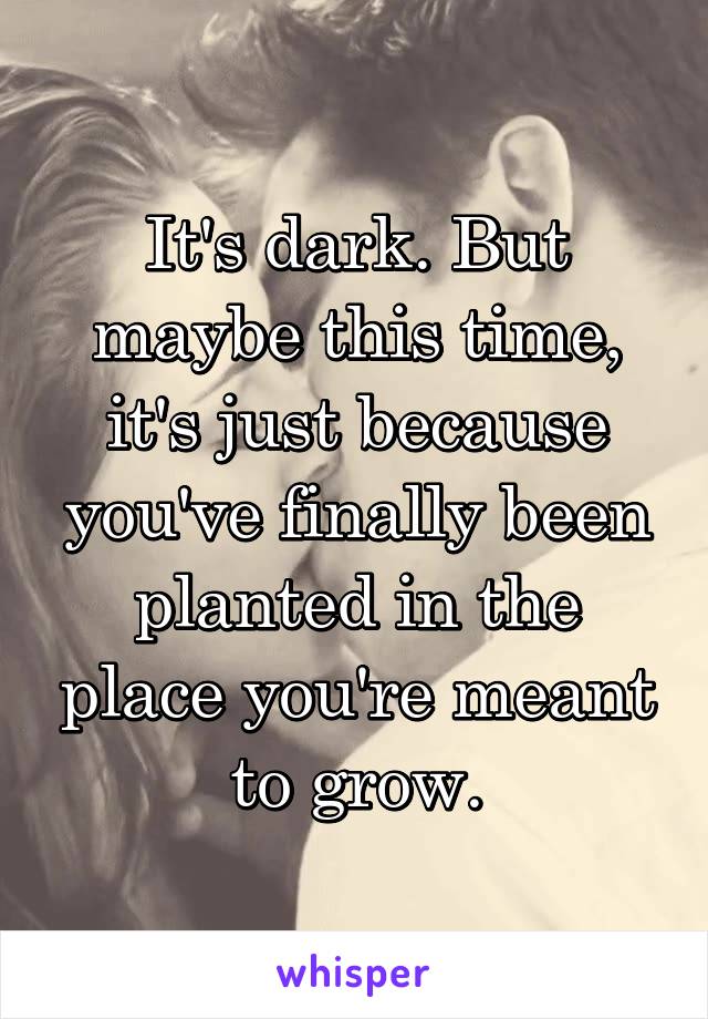It's dark. But maybe this time, it's just because you've finally been planted in the place you're meant to grow.