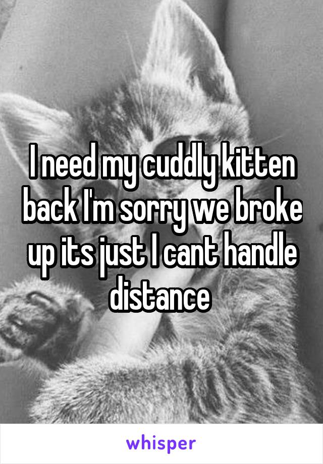 I need my cuddly kitten back I'm sorry we broke up its just I cant handle distance 