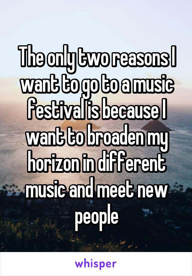 The only two reasons I want to go to a music festival is because I want to broaden my horizon in different music and meet new people