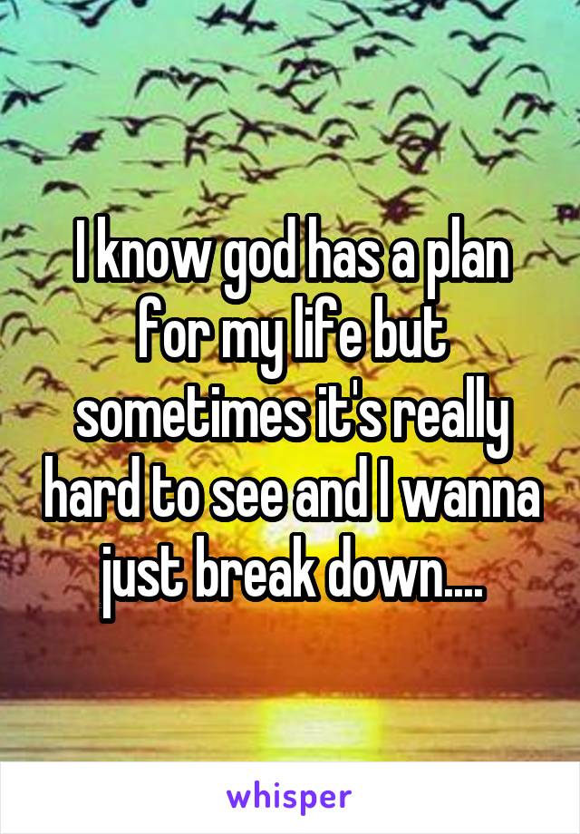 I know god has a plan for my life but sometimes it's really hard to see and I wanna just break down....