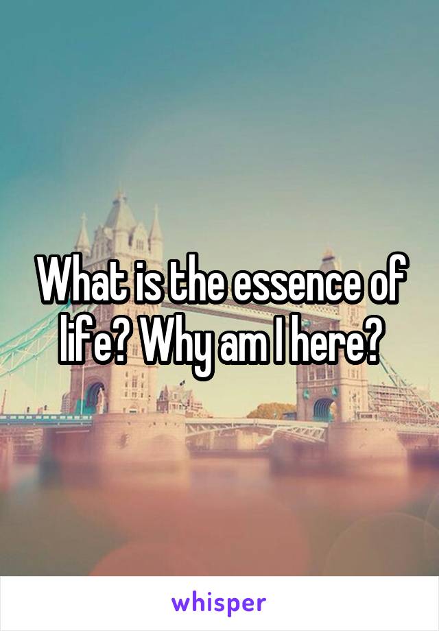 What is the essence of life? Why am I here?