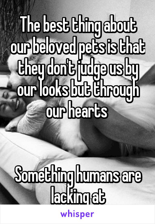 The best thing about our beloved pets is that they don't judge us by our looks but through our hearts 


Something humans are lacking at