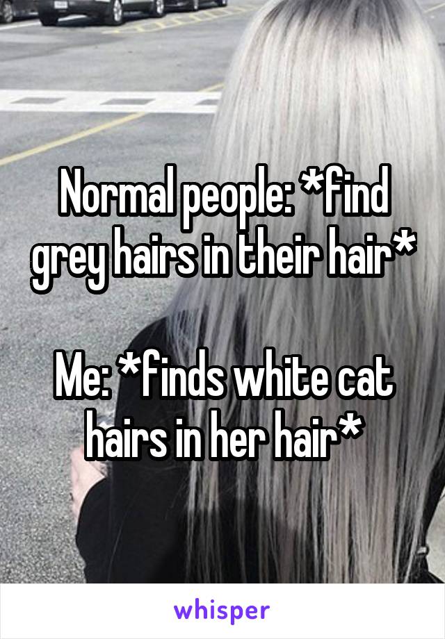 Normal people: *find grey hairs in their hair*

Me: *finds white cat hairs in her hair*