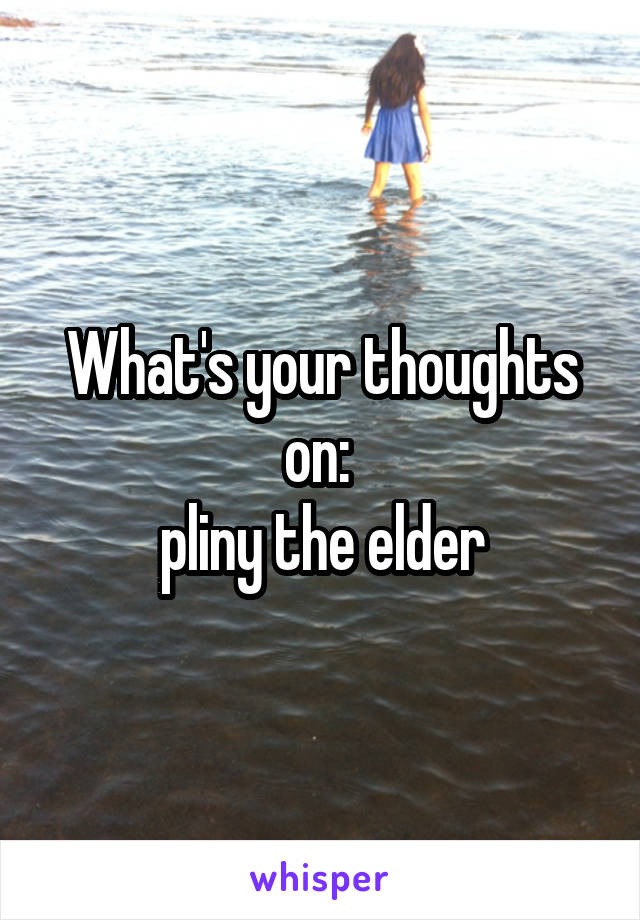 What's your thoughts on: 
pliny the elder