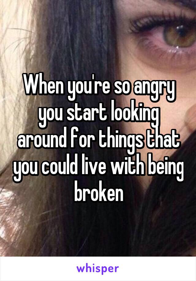 When you're so angry you start looking around for things that you could live with being broken