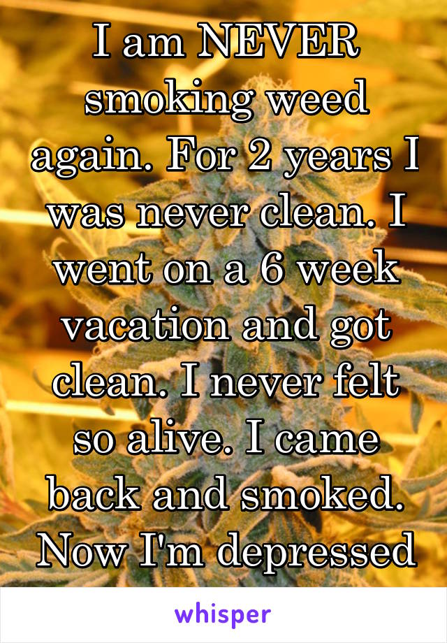 I am NEVER smoking weed again. For 2 years I was never clean. I went on a 6 week vacation and got clean. I never felt so alive. I came back and smoked. Now I'm depressed again.