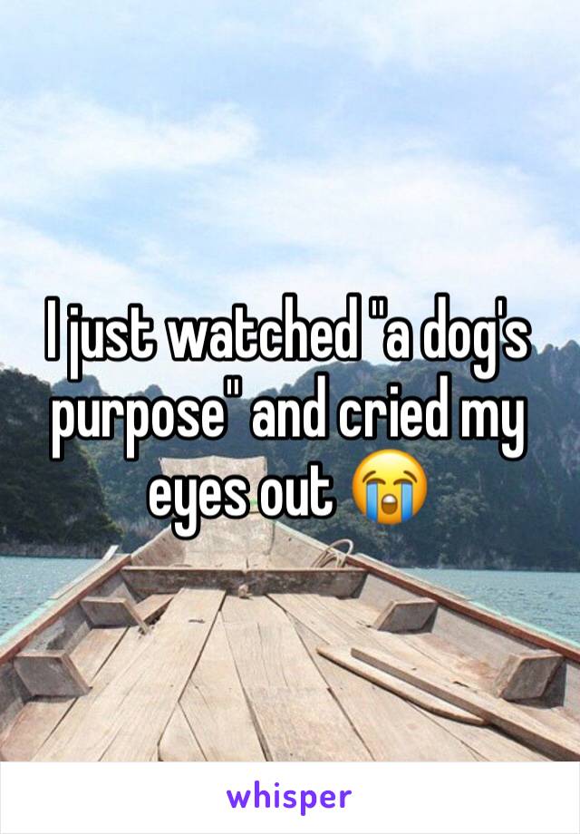 I just watched "a dog's purpose" and cried my eyes out 😭