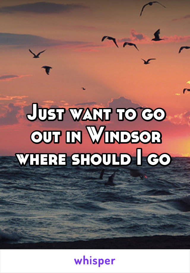 Just want to go out in Windsor where should I go 