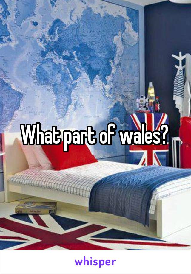 What part of wales? 