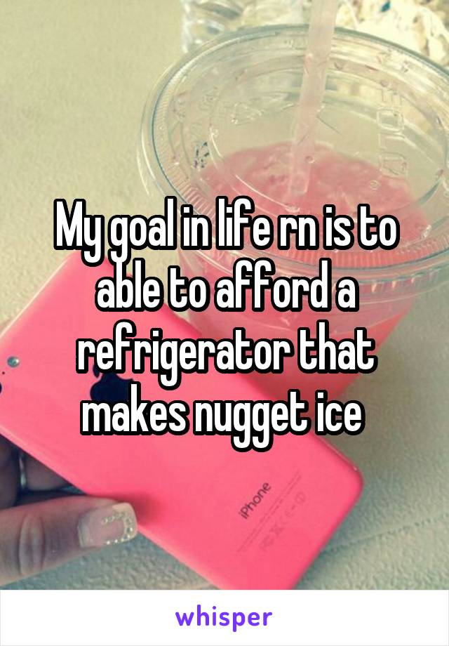My goal in life rn is to able to afford a refrigerator that makes nugget ice 