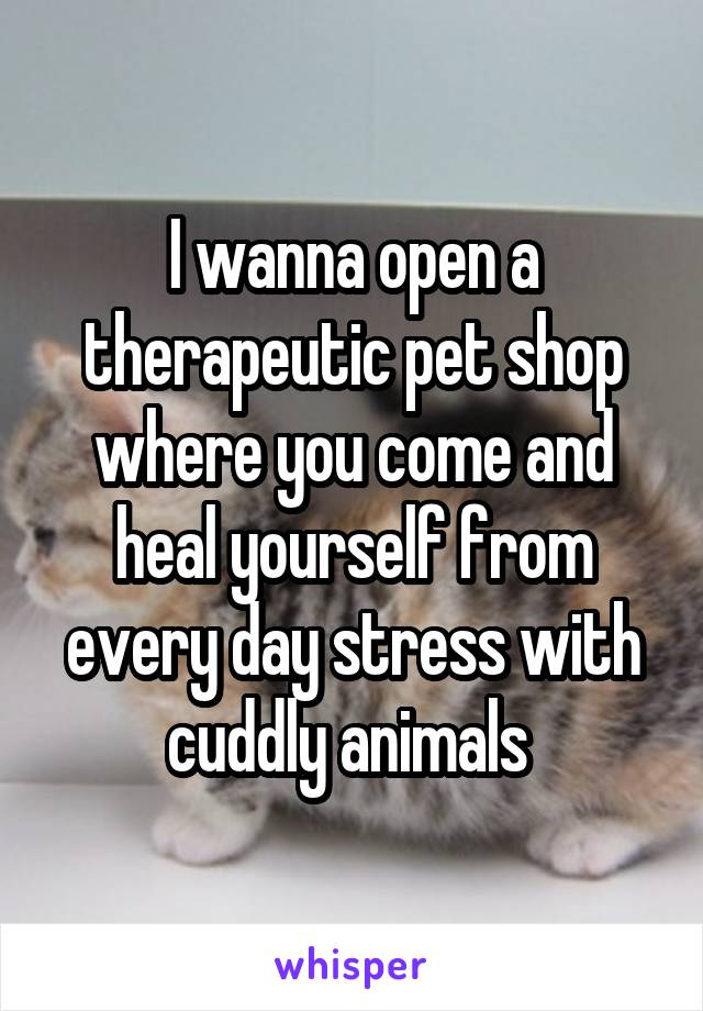 I wanna open a therapeutic pet shop where you come and heal yourself from every day stress with cuddly animals 