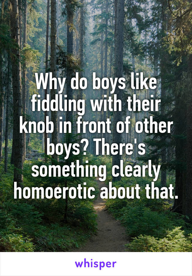 Why do boys like fiddling with their knob in front of other boys? There's something clearly homoerotic about that.