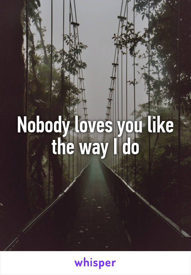 Nobody loves you like the way I do