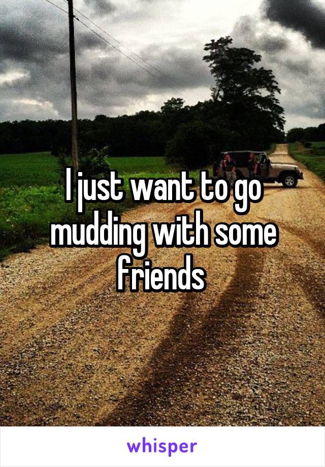 I just want to go mudding with some friends 
