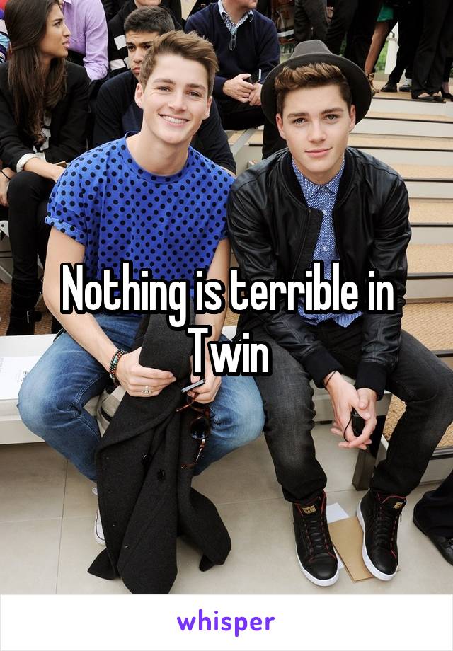 Nothing is terrible in Twin