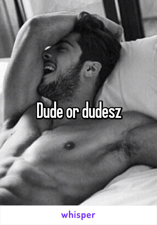 Dude or dudesz