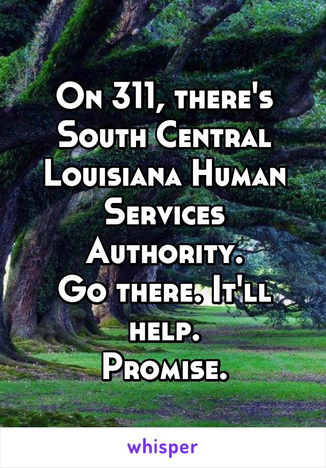 On 311, there's South Central Louisiana Human Services Authority.
Go there. It'll help.
Promise.