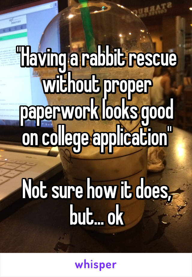 "Having a rabbit rescue without proper paperwork looks good on college application"

Not sure how it does, but... ok