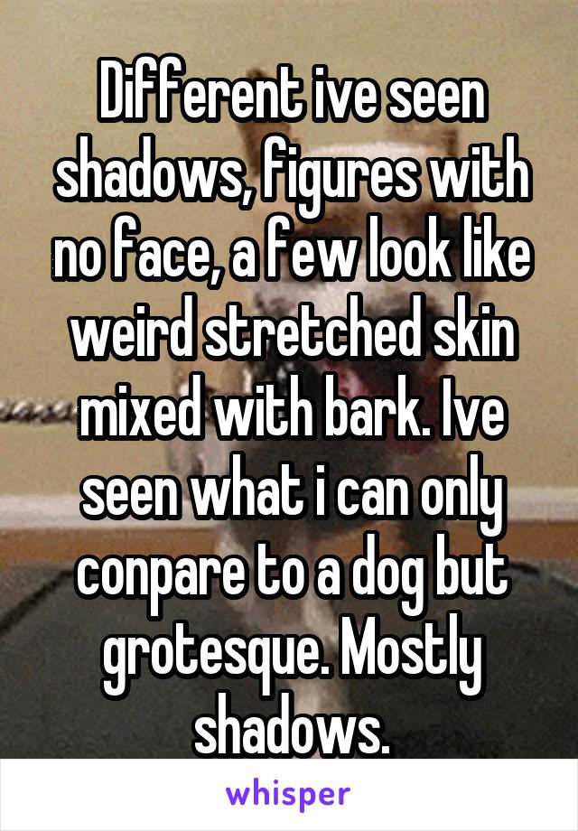 Different ive seen shadows, figures with no face, a few look like weird stretched skin mixed with bark. Ive seen what i can only conpare to a dog but grotesque. Mostly shadows.