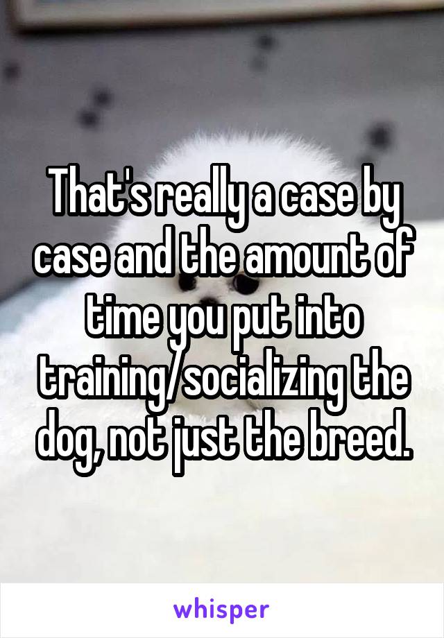 That's really a case by case and the amount of time you put into training/socializing the dog, not just the breed.