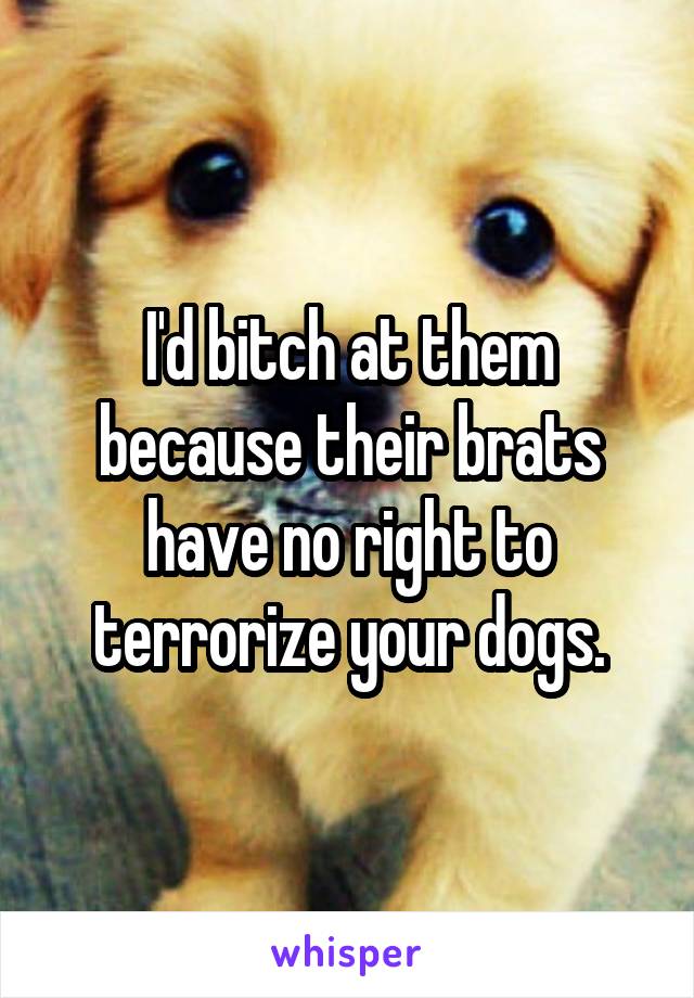 I'd bitch at them because their brats have no right to terrorize your dogs.