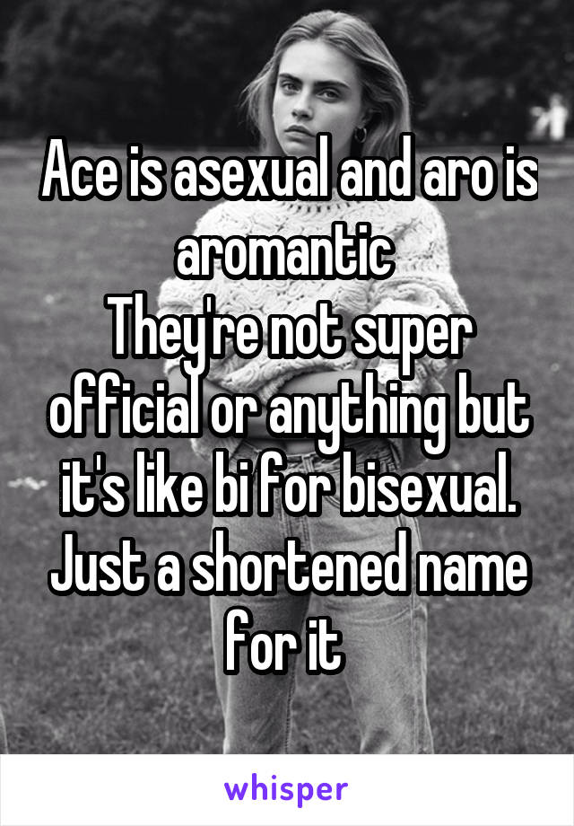 Ace is asexual and aro is aromantic 
They're not super official or anything but it's like bi for bisexual. Just a shortened name for it 