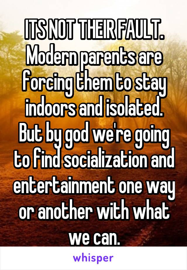 ITS NOT THEIR FAULT. Modern parents are forcing them to stay indoors and isolated. But by god we're going to find socialization and entertainment one way or another with what we can.