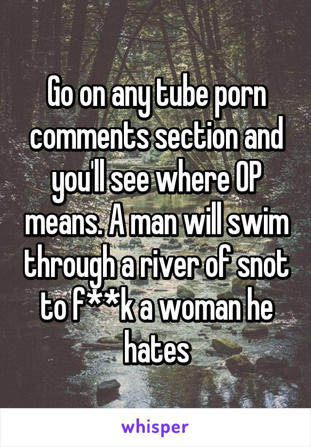 Go on any tube porn comments section and you'll see where OP means. A man will swim through a river of snot to f**k a woman he hates
