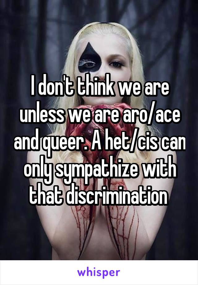 I don't think we are unless we are aro/ace and queer. A het/cis can only sympathize with that discrimination 