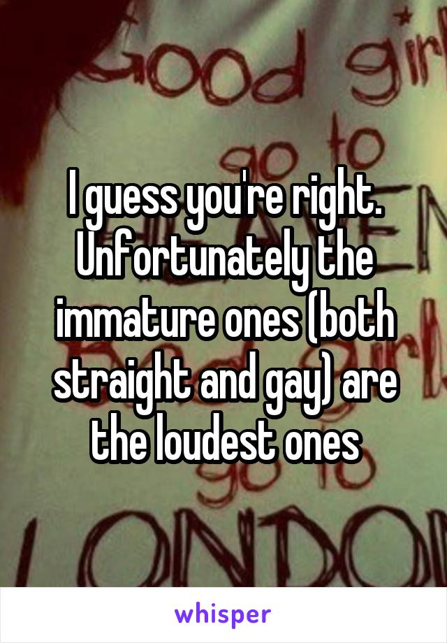 I guess you're right. Unfortunately the immature ones (both straight and gay) are the loudest ones