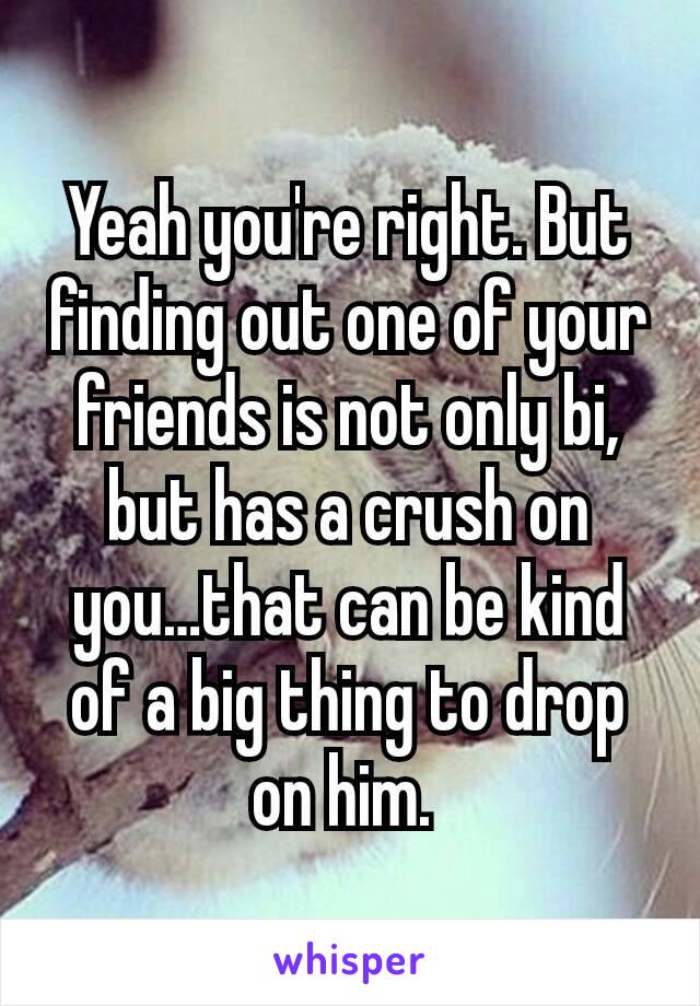 Yeah you're right. But finding out one of your friends is not only bi, but has a crush on you…that can be kind of a big thing to drop on him. 