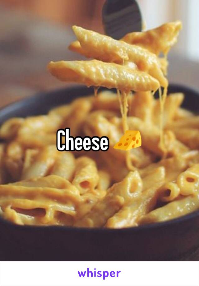 Cheese ðŸ§€ 